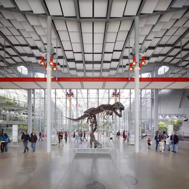 加州科学院的恐龙